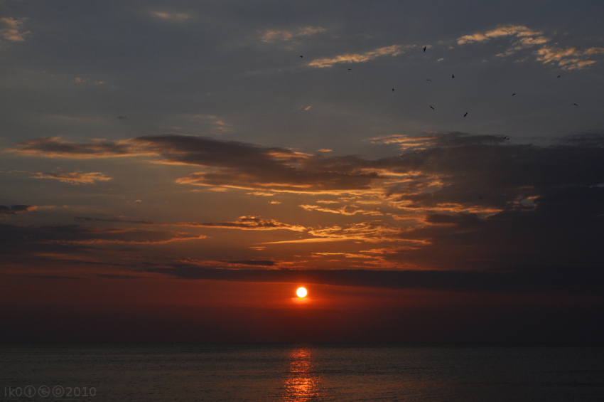July morning